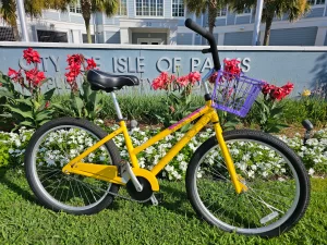 Beach Cruiser Bicycle