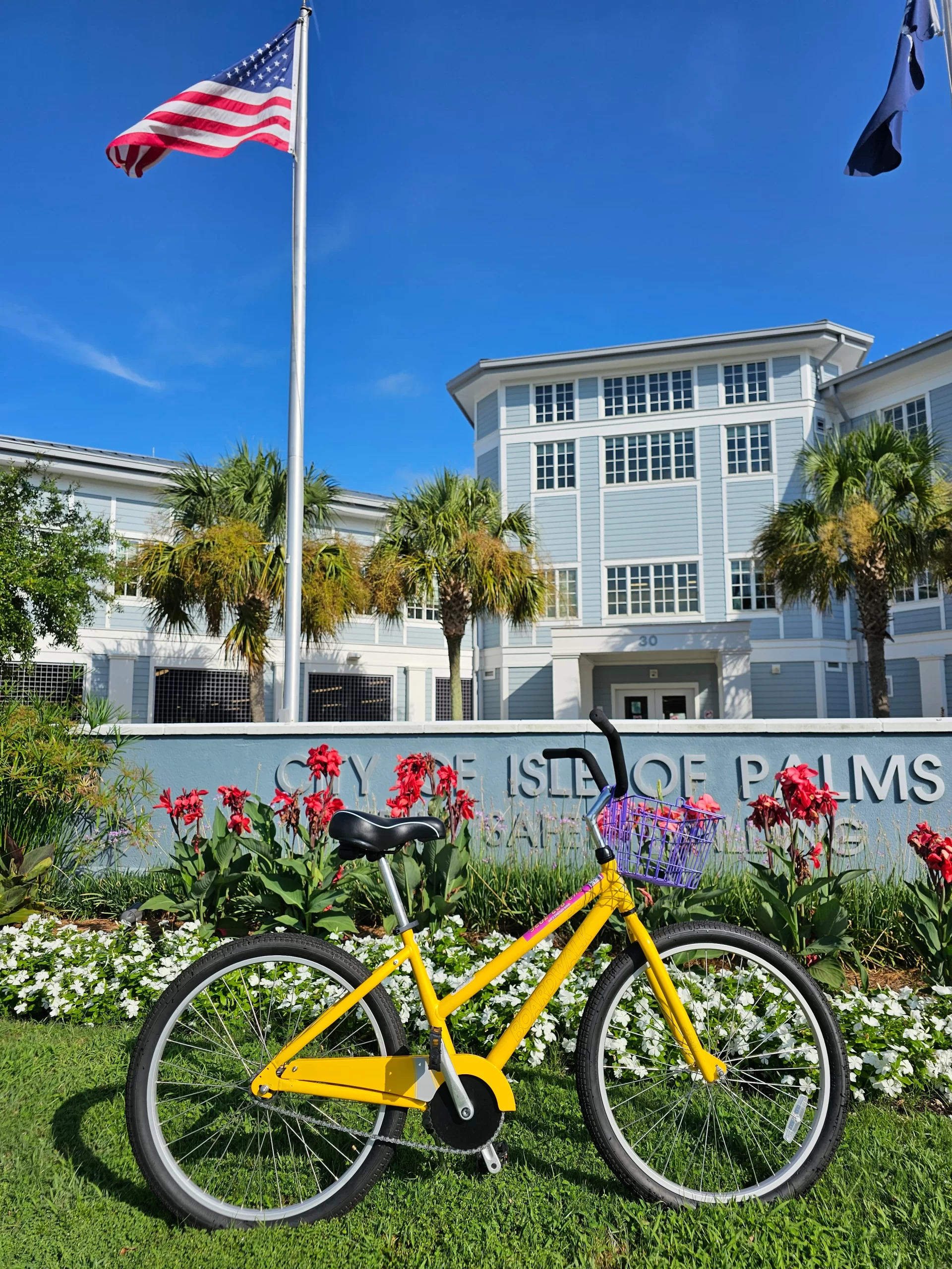IOP eBike Rentals Beach Cruiser