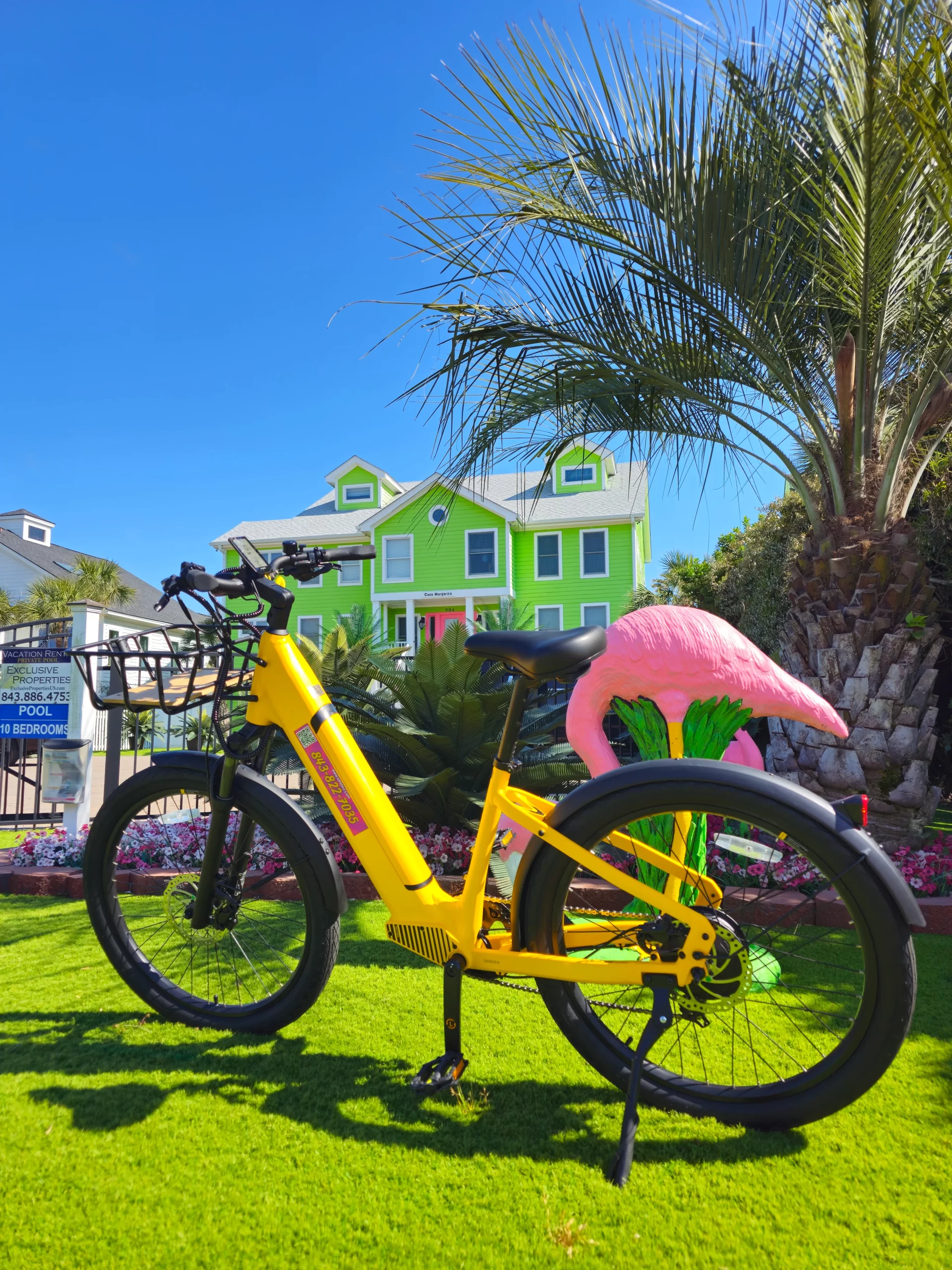IOP eBike Rentals Beach Cruiser